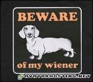 avatar book three avatar game avatar 316  weinerdog