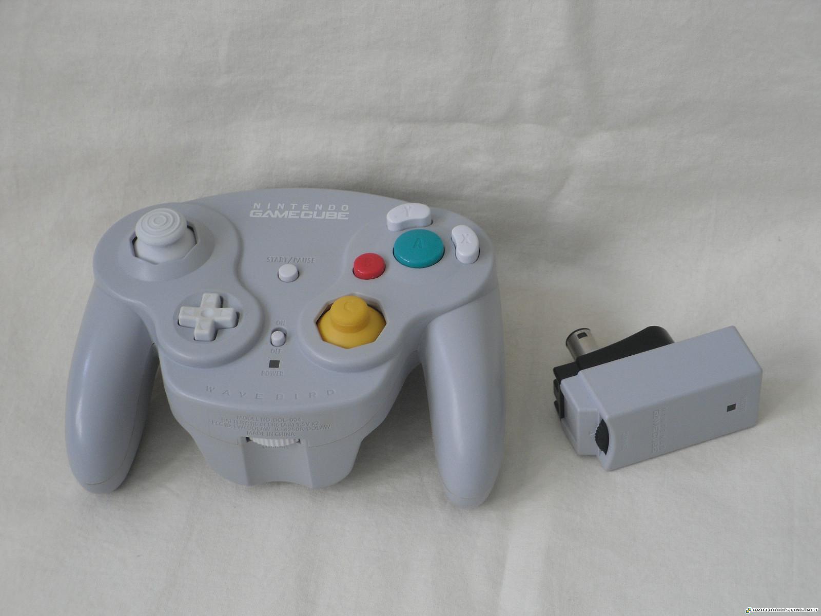 mollusks adaptations free image hosting russian insects organisms  wavebird