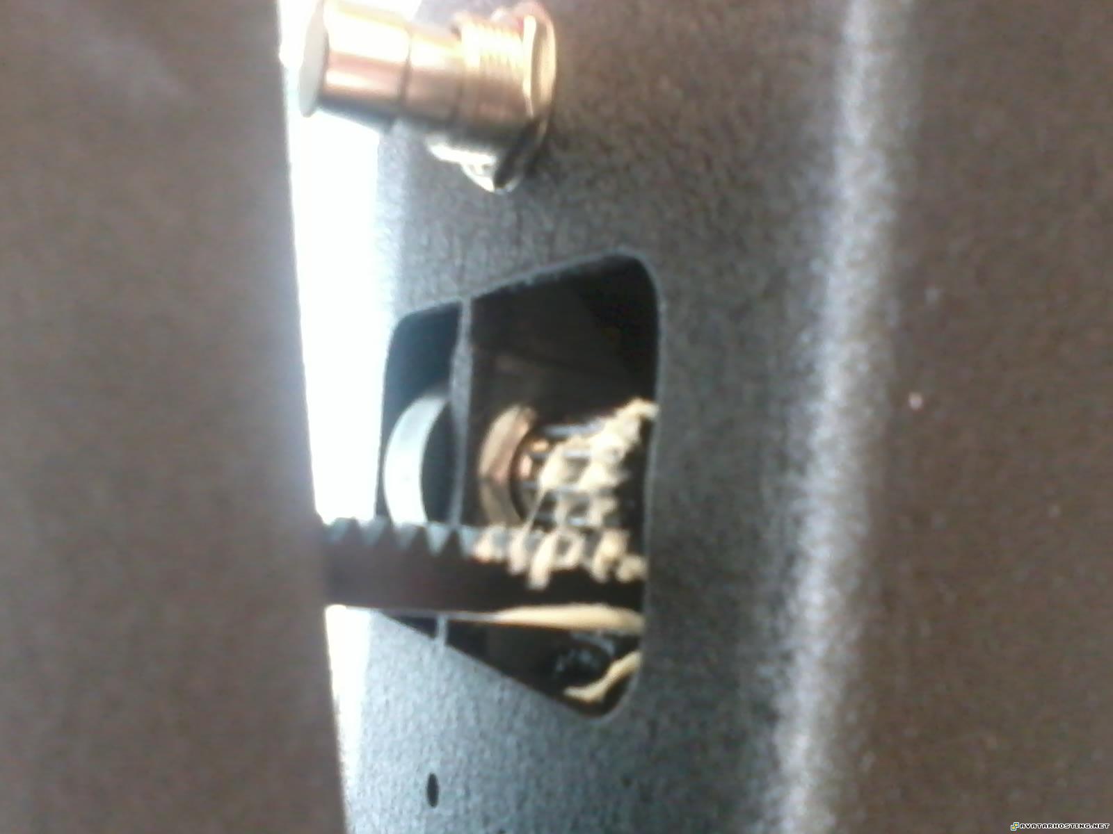 arthropods adaptations bugs adaptations pests rabbits  2012082214.28.02