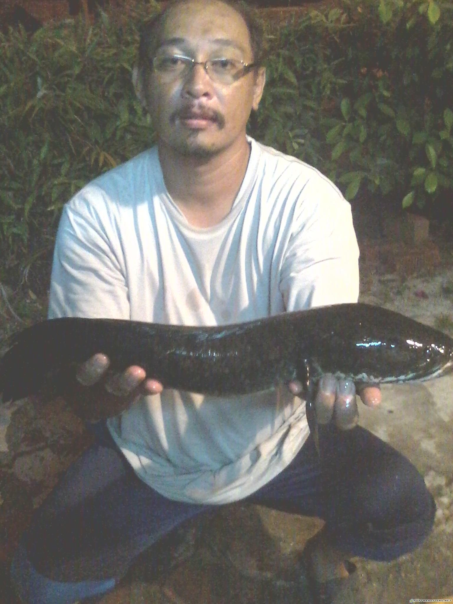 photo hosting php where to watch avatar painters  IMG0250A