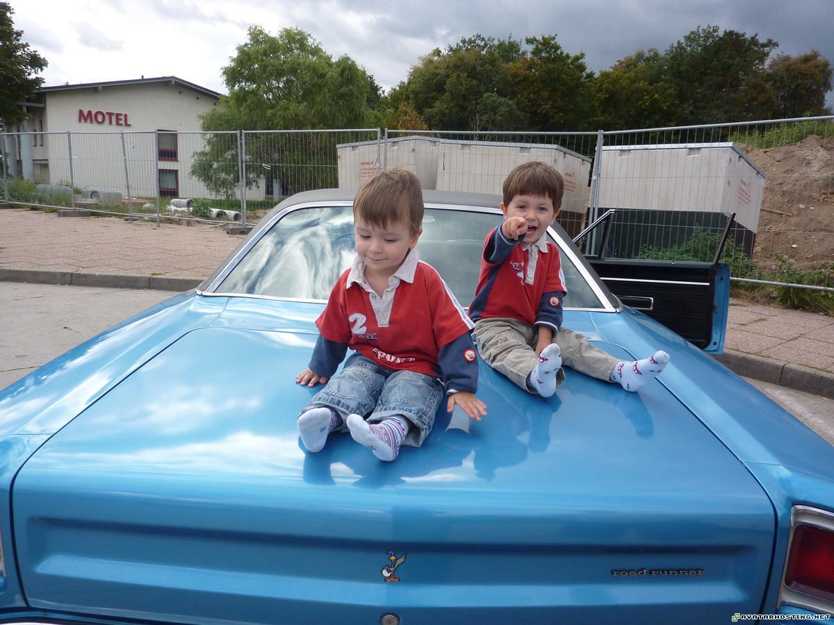 endangered moths modern paintings avatar mountain suites  P1070526