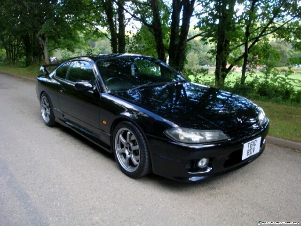 watercolor paintings james art grasshoppers invertebrates  ColorTouch