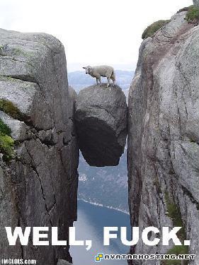 photo hosting websites avatar net dvd avatar  well...