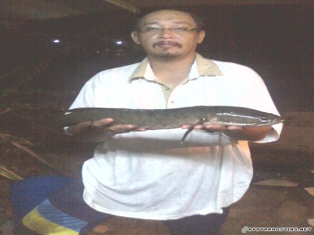 100 x 100 best avatar grasshoppers habitats  IMG0255A