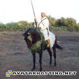 flicker photo share avatar dvd insect species  phpWfjJbg_c2AM