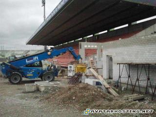 animals contemporary abstract art forum  G1