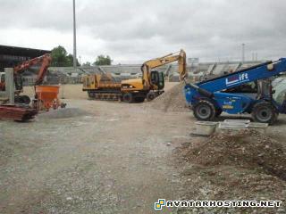 insects adaptations insect zoos watercolor artists  G10