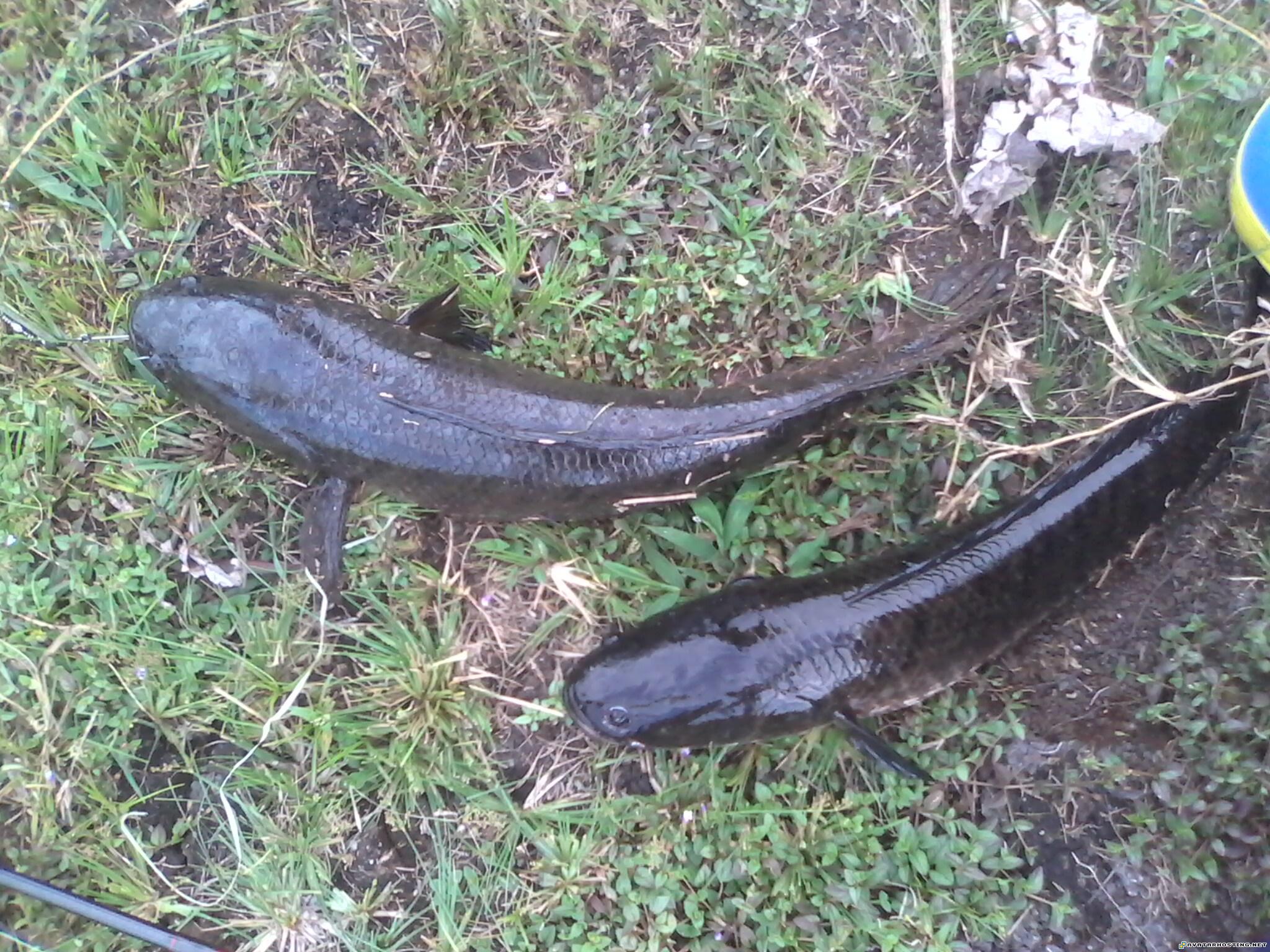 80x80 avatar large photo hosting anderson prints  IMG0276A