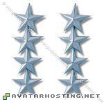 unmounted insects dragonflies adaptations free avatars  General