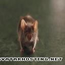 mouse mr jingles Foodthegreenmile9230139800502