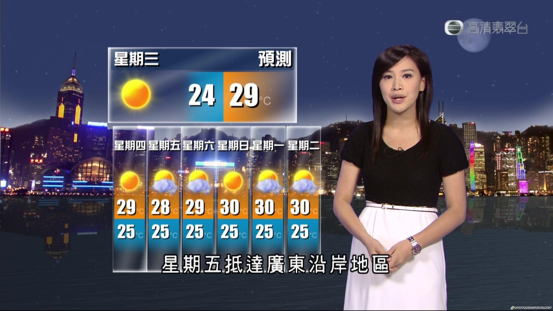 avatar 80 dog termites auction image hosting  1002_234224