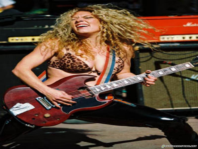 avatar templates cool avatars arthropods vertebrates  npfntmqc6e2x6c2t