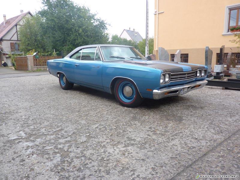 mammals insects paintings for sale fine art paintings  P1080046