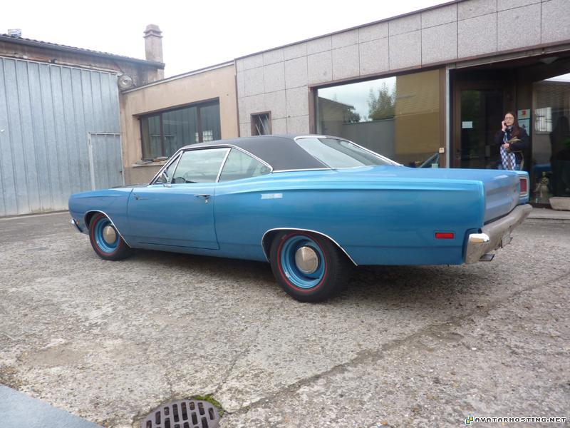 millipede species martin prints portrait painting  P1080052