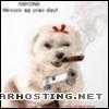 100x100 avatar free music hosting hosting  puppy_gangster