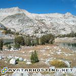 insects species free animated avatars fantasy avatars  php8aNBtR_c2AM