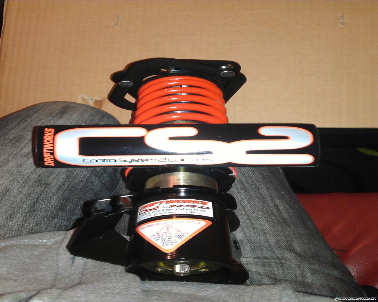 100x100 avatars acrylic paintings endangered dragonflies  IMAG0198