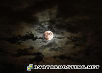 stupidavatar snmoonthumb200xauto4494