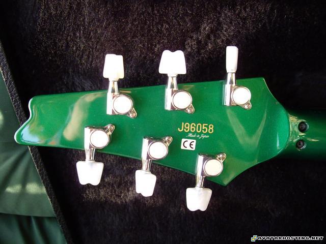 mammals insects jpg photo photo album picture  IMGP1794