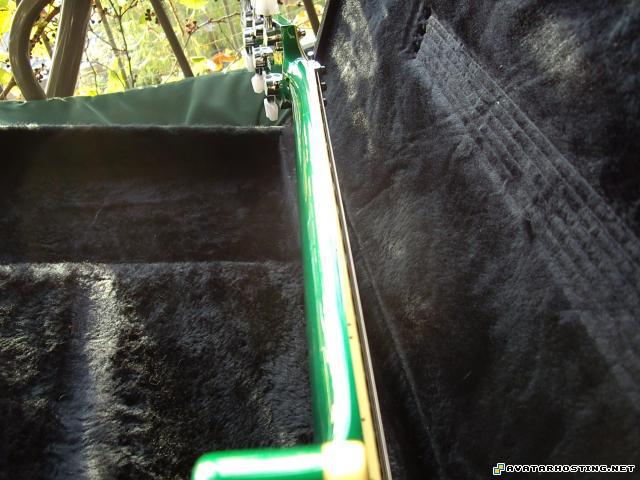 oil paintings art grasshoppers invertebrates dragonflies species  IMGP1798