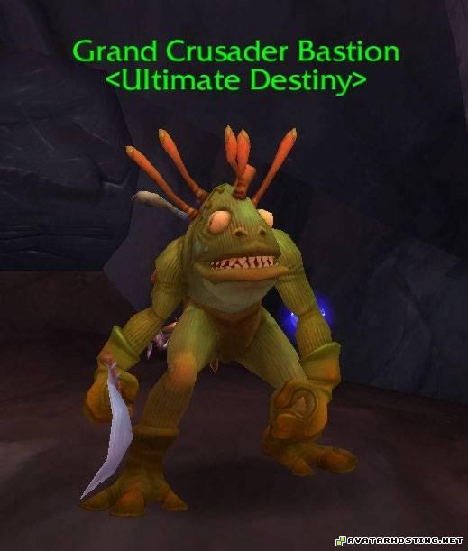 share photo online mammals insect still life art  murlocz