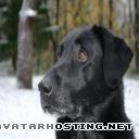 digital photo gallery image shack photo hosting xbox avatar  Cole