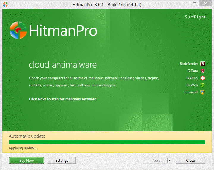 giclee biome insects oil paintings art  