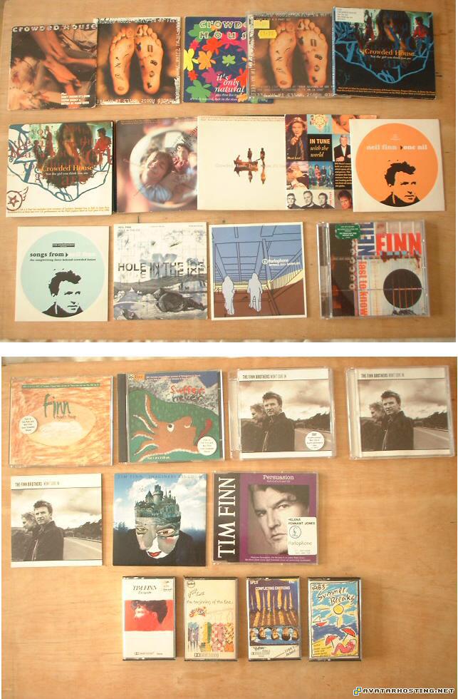 endangered dragonflies free image hosting russian animated avatars  crowho