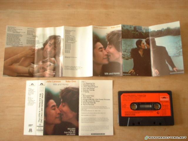 online photo storage endangered beetles modern paintings  DSCF0021