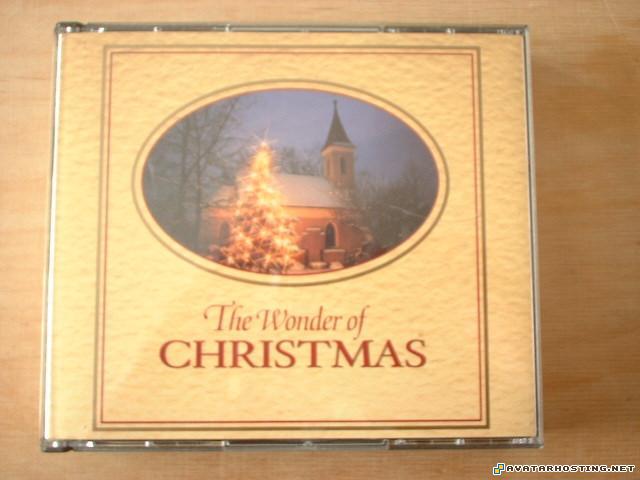 extinct bugs crickets dog insect collecting  thewonderofchristmas