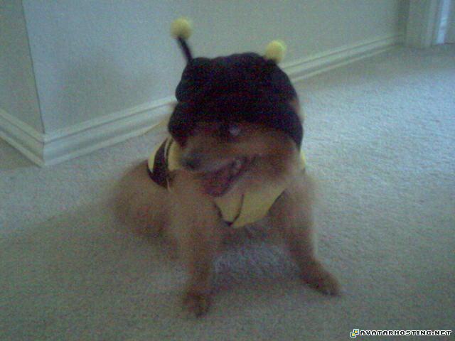 photography SP_A0656