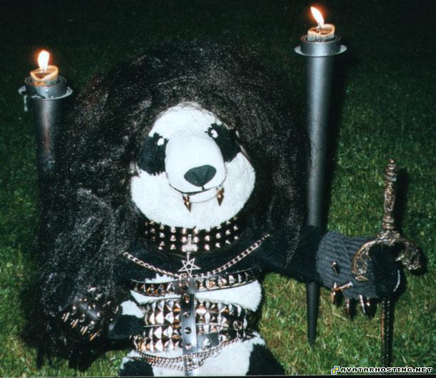 carebare-rebel carebear-rebel