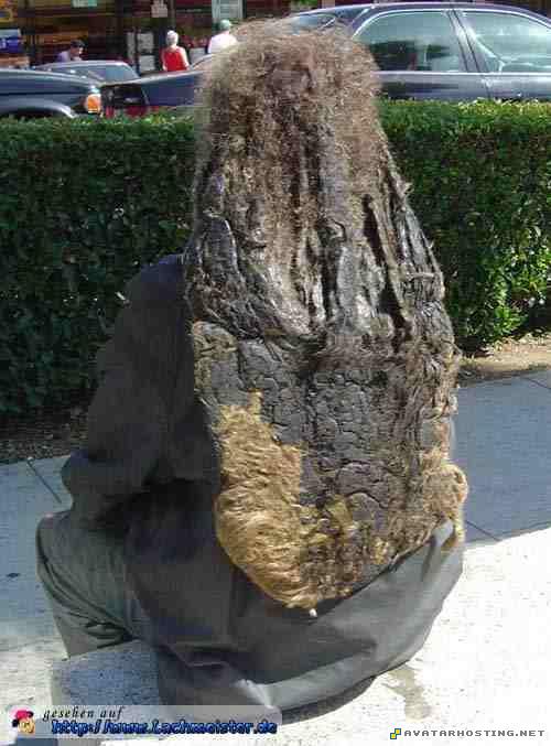 rasta lustiges_bild_eklige-haare