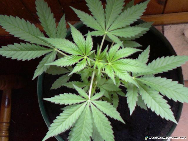 photography Photo-0044