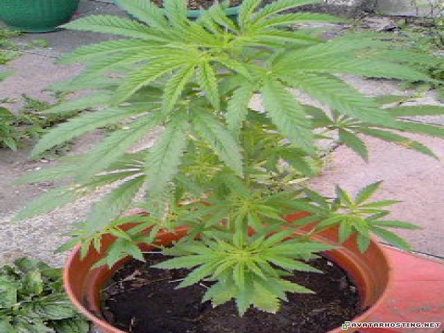 photography Photo-0046