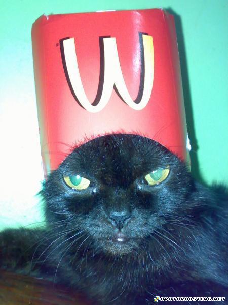 image hosting for free 1_562435650l