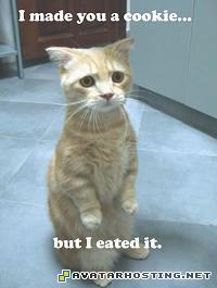 picture sharing cookie