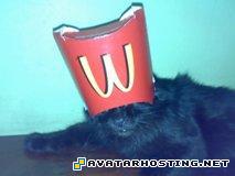 free photo storage 02102009392