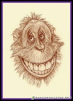 sharing digital photo av-2433