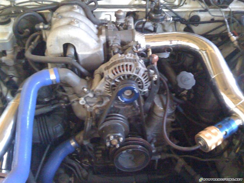 digital photo gallery IMG_0151