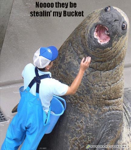 clean the seal theybestealinmybucketseij5
