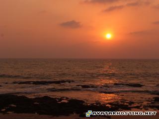 insect collection flower paintings easter photo album 1350