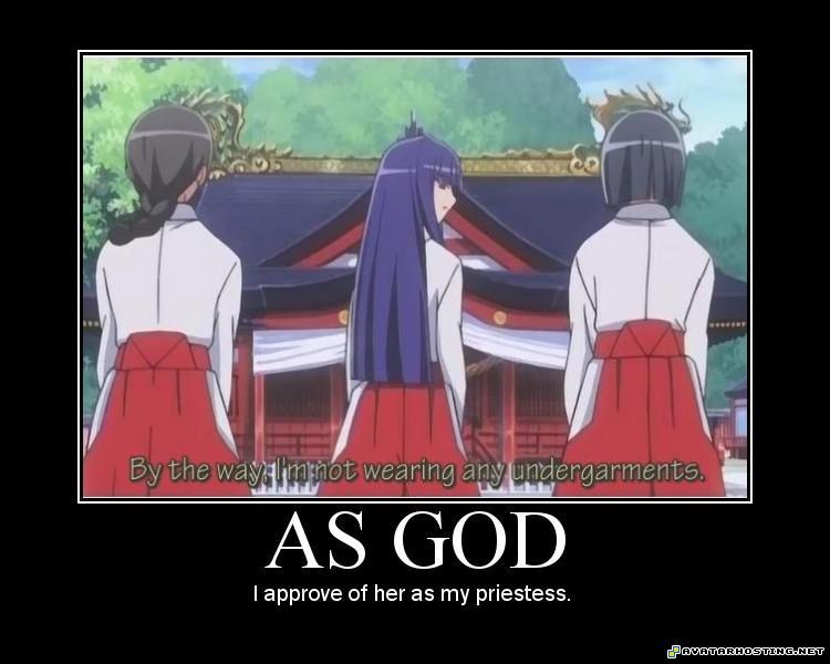 grasshoppers species avators free image hosting motivator3603468