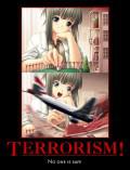 Posters What is Terrorism