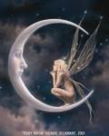 Cartoons Fairies  in the moon in the night