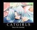 Blondes Blue Cat Girls
