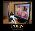 Sketches Cat watch TV porno