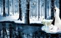 Nature Wolves Wallpapers or picture 048