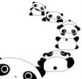Animals/Insects Panda