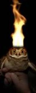 Avatars burningowl